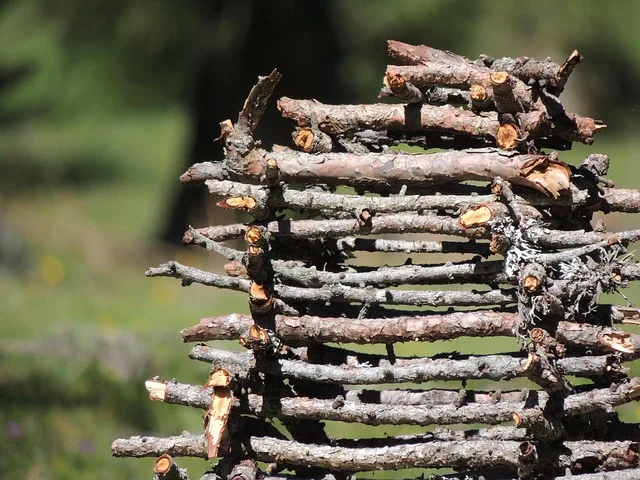 Sterta gałęzi i drewna przygotowana do rozdrobnienia po wycince