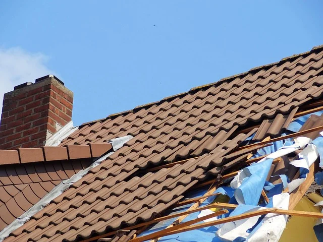 Konary nad dachem i linią energetyczną - przycinanie przed jesienią