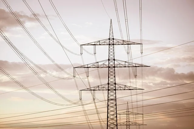 Napowietrzna linia energetyczna z przewodami biegnąca w pobliżu drzew