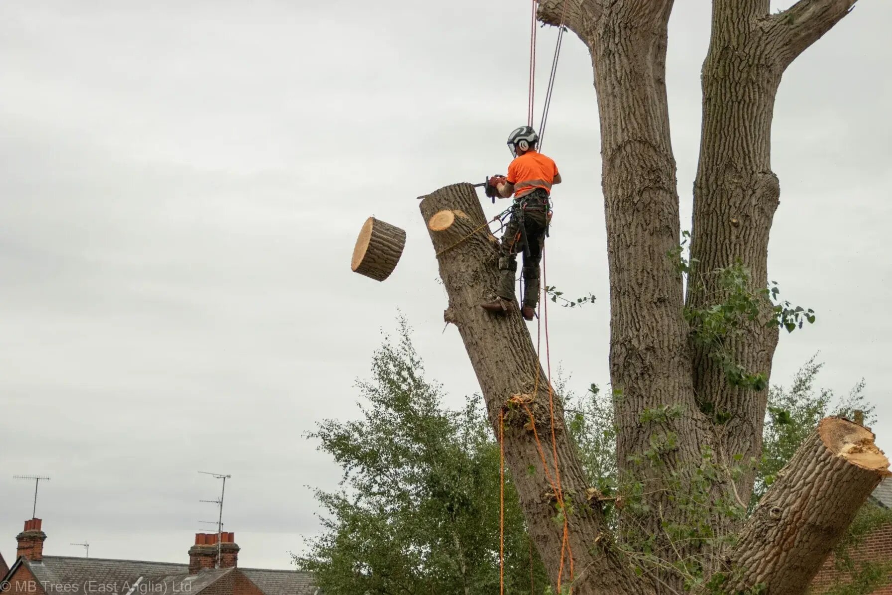 Demontaż sekcyjny nad zabudową
