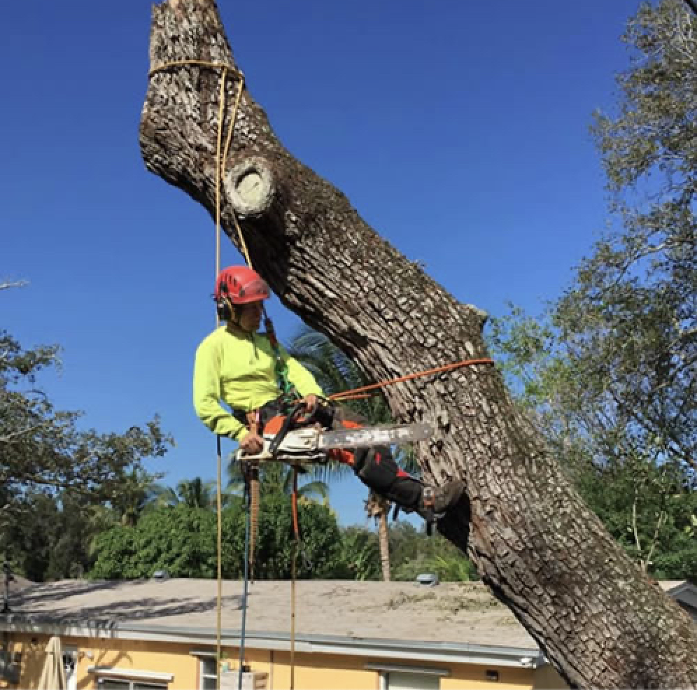 Demontaż sekcyjny z podnośnika