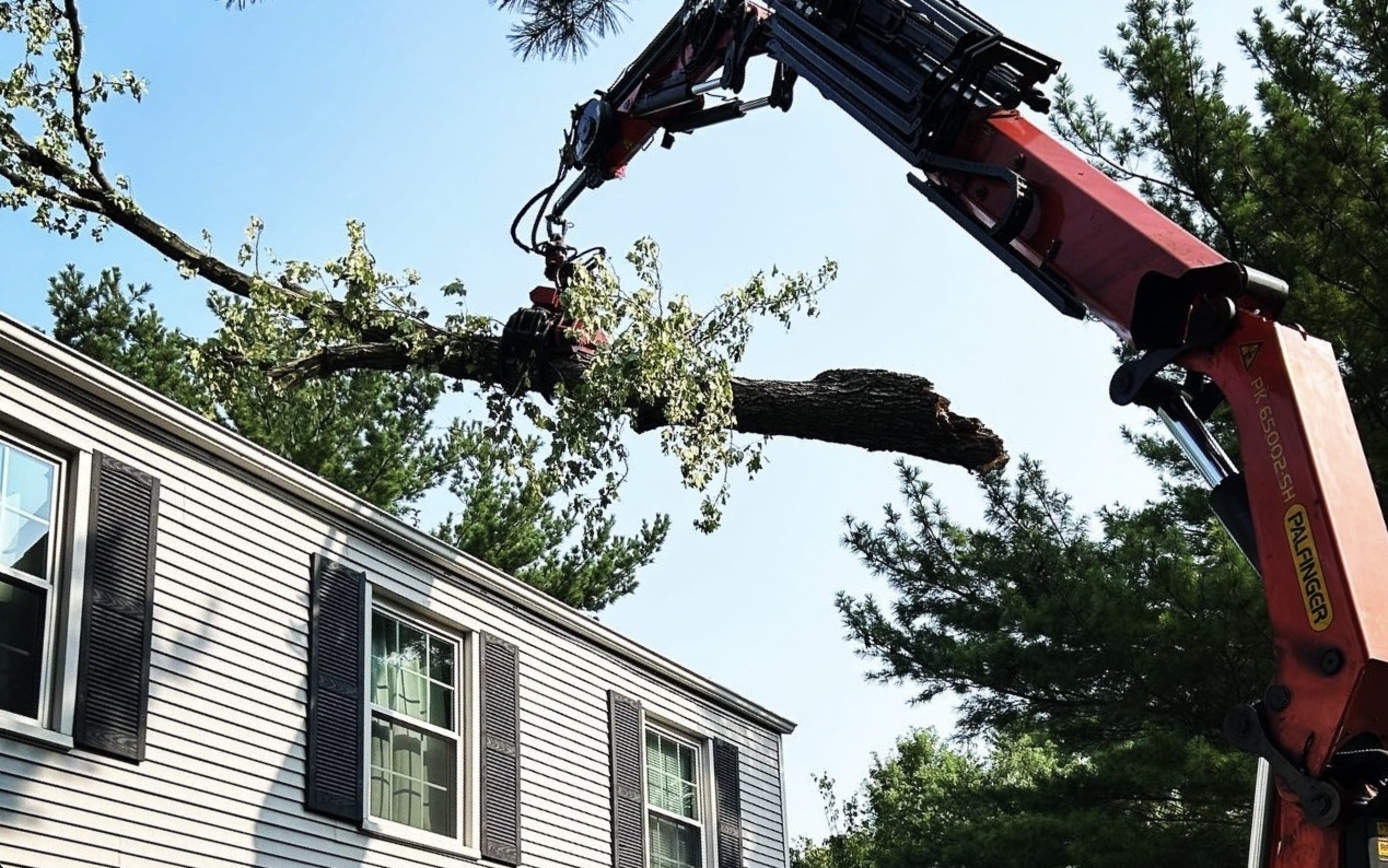 Interwencja po wichurze